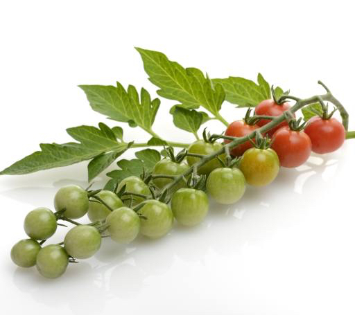 ovoce, zelenina, rajèata, rajèe, zelená, èervená, listy, jídlo Svetlana Foote (Saddako123)
