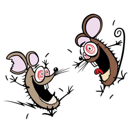 myš, myši, šílení, šťastný, dva Donald Purcell - Dreamstime
