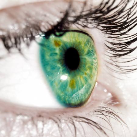 zelená, oční víčka, oko Goran Turina - Dreamstime
