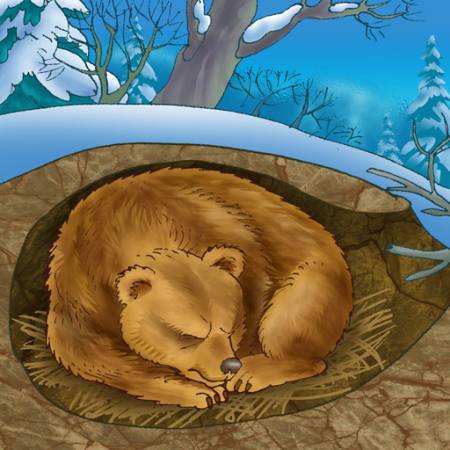 medvěd, zima, spánek, zima, příroda Alexander Kukushkin - Dreamstime