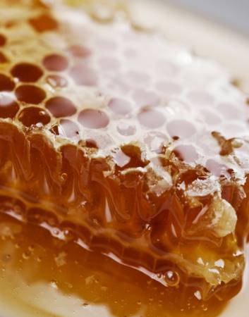 včelí, včely, med Liv Friis-larsen - Dreamstime