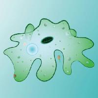 Pixwords Obraz s buňka, buněčný, zelená, sliz, rozmazání Designua - Dreamstime