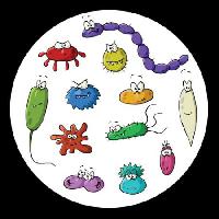 Pixwords Obraz s hmyz, mikroskop, sliz, virus Dedmazay - Dreamstime