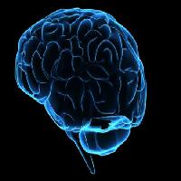 Pixwords Obraz s hlava, muž, žena, myslím, mozek Sebastian Kaulitzki - Dreamstime