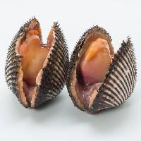 shell, mušle, oister, moøe, jídlo Artaporn Puthikampol (Artaporn)
