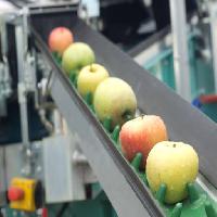 Pixwords Obraz s jablka, potraviny, stroje, továrna Jevtic