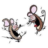 Pixwords Obraz s myš, myši, šílení, šťastný, dva Donald Purcell - Dreamstime