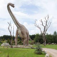 dinosaurus, park, strom, kadeøe, zvíøe Caesarone