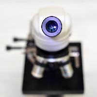 Pixwords Obraz s kamera, èoèka, mikroskop catiamadio