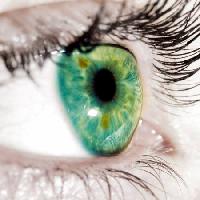 Pixwords Obraz s zelená, oční víčka, oko Goran Turina - Dreamstime