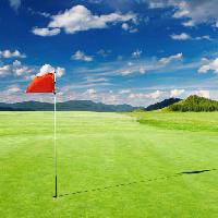 Pixwords Obraz s zeleným, terénu, vlajky, golf, oblohy, zataženo Dmitry Pichugin (Dmitryp)