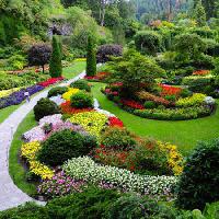 Pixwords Obraz s zahrada, květiny, barvy, zelená Photo168 - Dreamstime