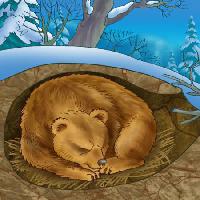Pixwords Obraz s medvěd, zima, spánek, zima, příroda Alexander Kukushkin - Dreamstime