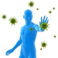 Pixwords Obraz s virus, imunita, modři, člověk, nemocný, bakterie, zelená Sebastian Kaulitzki - Dreamstime