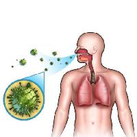 Pixwords Obraz s člověče, tělo, plíce, vzduch, breah, nos, bakterie Andreus - Dreamstime