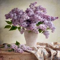 Pixwords Obraz s květiny, váza, fialová, stůl, hadřík Jolanta Brigere - Dreamstime