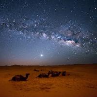 Pixwords Obraz s obloha, noèní, , pouštní, velbloudi, hvìzdy, mìsíc Valentin Armianu (Asterixvs)