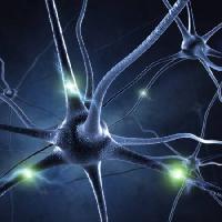 Pixwords Obraz s synapse, hlava, neuron, spoje Sashkinw - Dreamstime