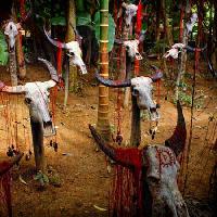 Pixwords Obraz s hlava, hlavy, lebka, lebky, krev, stromy, zvířata Victor Zastol`skiy - Dreamstime
