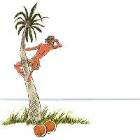 muž, ostrov, pletl, kokosový ořech, palma, tvářit, moře, oceán Sylverarts - Dreamstime