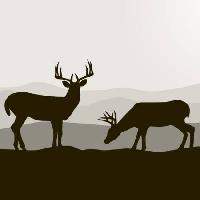 Pixwords Obraz s jelen, jeleni, černá, krajina, zvířata, zvíře Dagadu - Dreamstime