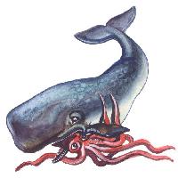 Pixwords Obraz s ryby, zvíøe, velryby, chobotnice Palych