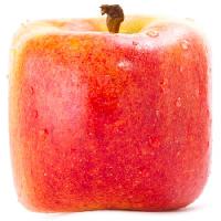 Pixwords Obraz s jablko. červená, žlutá, jíst, jídlo Sergey02 - Dreamstime