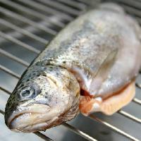 ryby, zvíøe, gril, potraviny Savin-sorin Matei-contescu (Mateisavin)