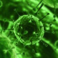 Pixwords Obraz s bakterie, viry, hmyz, nemoc, buňka Sebastian Kaulitzki - Dreamstime